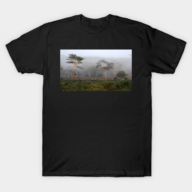 Foggy Morning, Lake Nakuru, Kenya T-Shirt by Carole-Anne